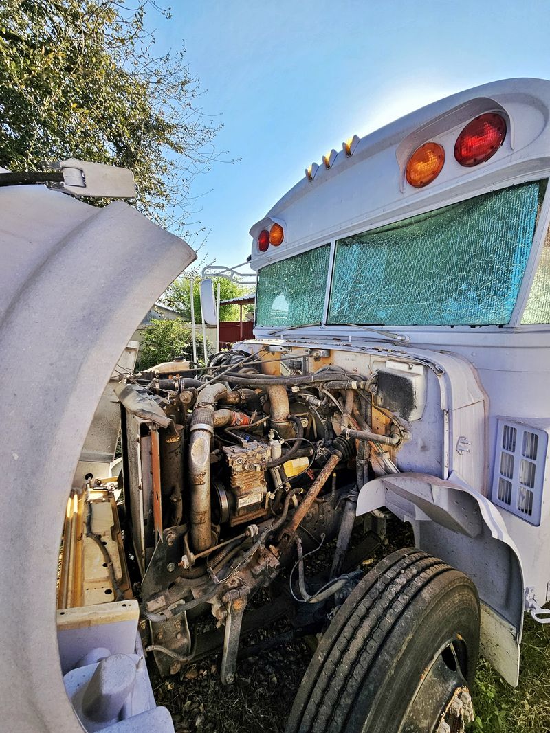 Picture 5/31 of a 2004 bluebird international short bus for sale in Rio Grande City, Texas