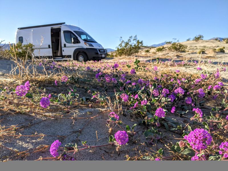 Picture 3/23 of a 2019 Promaster 2500 159 High Roof Adventure Home for sale in Carpinteria, California