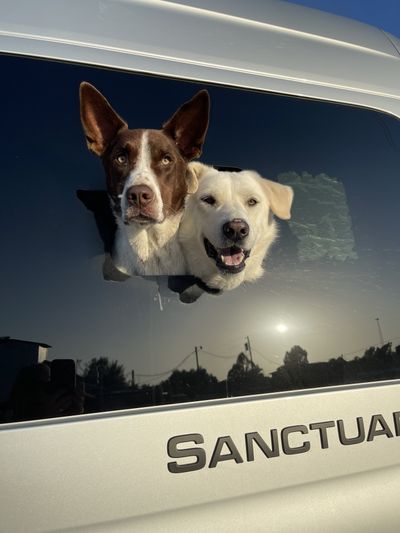 Photo of a Class B RV for sale: 2023 Thor Sanctuary 19P