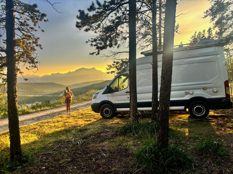 Picture 3/44 of a 2019 High-Roof Ford Transit for sale in Charlottesville, Virginia