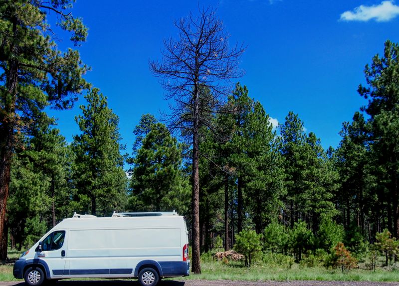 Picture 3/41 of a Promaster Campervan Conversion 159" WB hi-roof Ext.  for sale in Moreno Valley, California