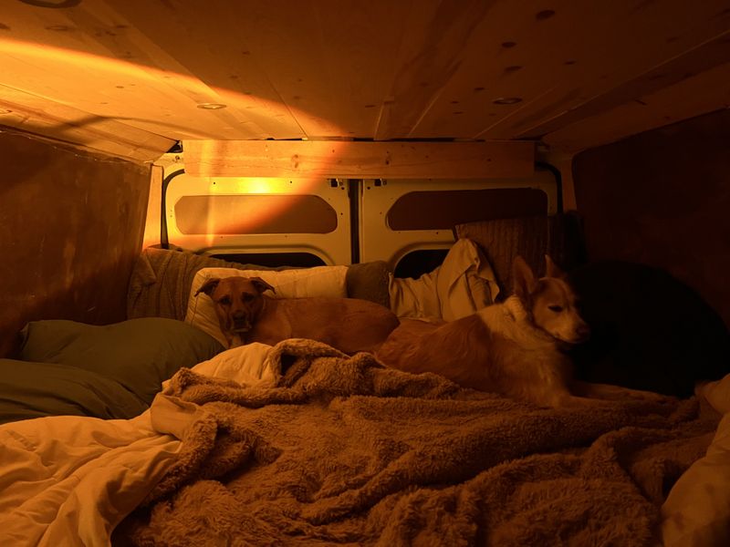 Picture 5/9 of a 2016 Ram Promaster Diesel for sale in Salt Lake City, Utah