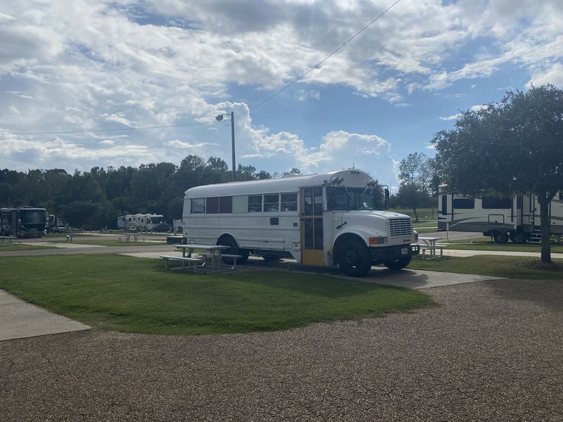 Picture 3/12 of a 1991 International 3800 Skoolie Motorhome for sale in Murphy, North Carolina
