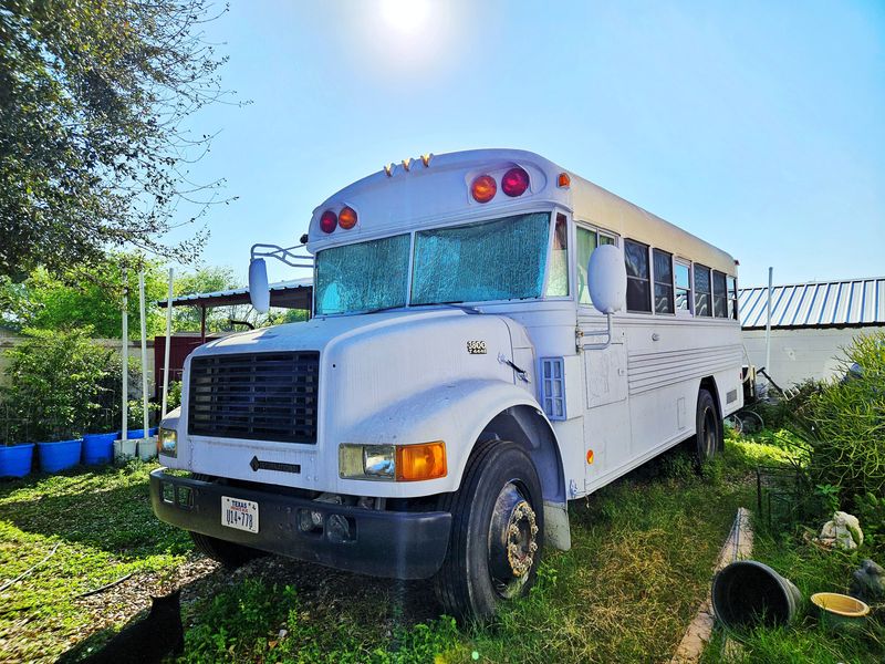 Picture 4/31 of a 2004 bluebird international short bus for sale in Rio Grande City, Texas