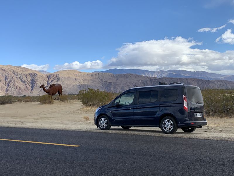 Picture 1/15 of a Fully Equiped Mini Camper on 2020 Ford Transit Connect  for sale in West Hollywood, California