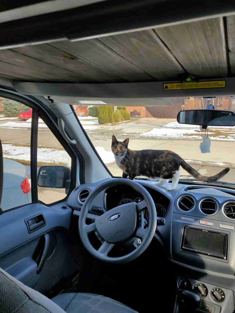 Picture 2/14 of a 2011 Ford Transit Connect  for sale in Rochester, Michigan