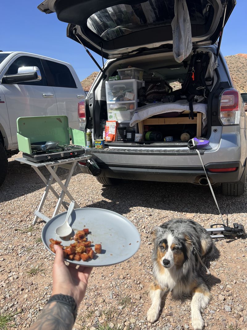 Picture 5/5 of a Subaru Forester Camper  for sale in Boise, Idaho