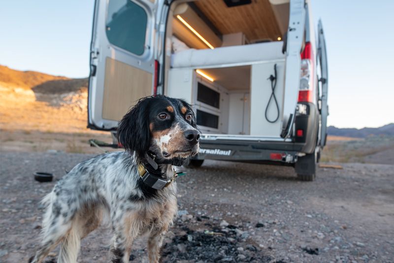 Picture 4/17 of a Hazel - A home on wheels by Bemyvan | Camper Van Conversion for sale in Las Vegas, Nevada