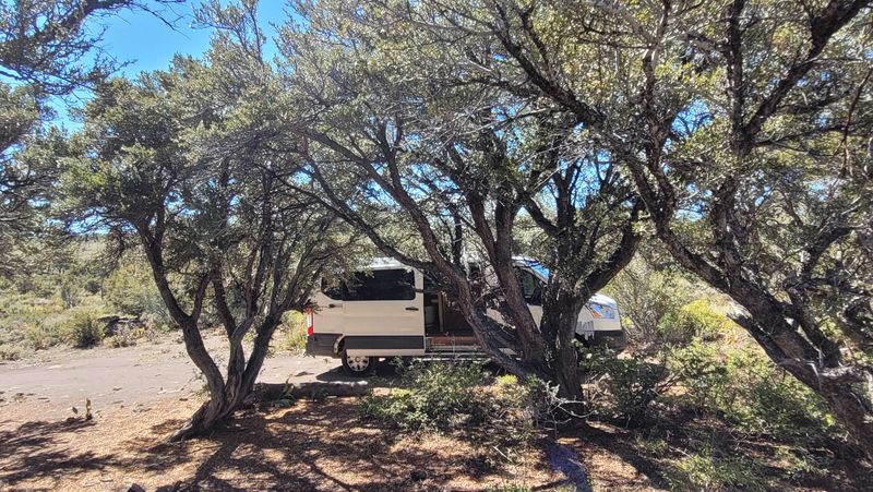 Picture 2/12 of a 2019 Ford Transit Low Roof XLT for sale in Petaluma, California