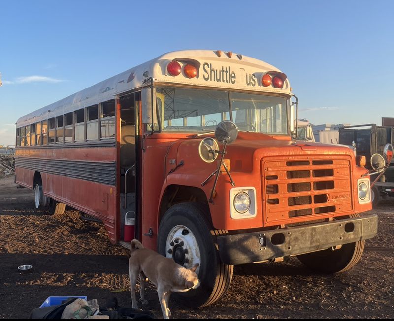 Picture 1/17 of a 1988 bluebird international “orange crush” for sale in Phoenix, Arizona