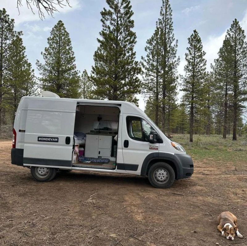 Picture 3/8 of a 2017 RAM promaster 1500 for sale in Hallandale, Florida