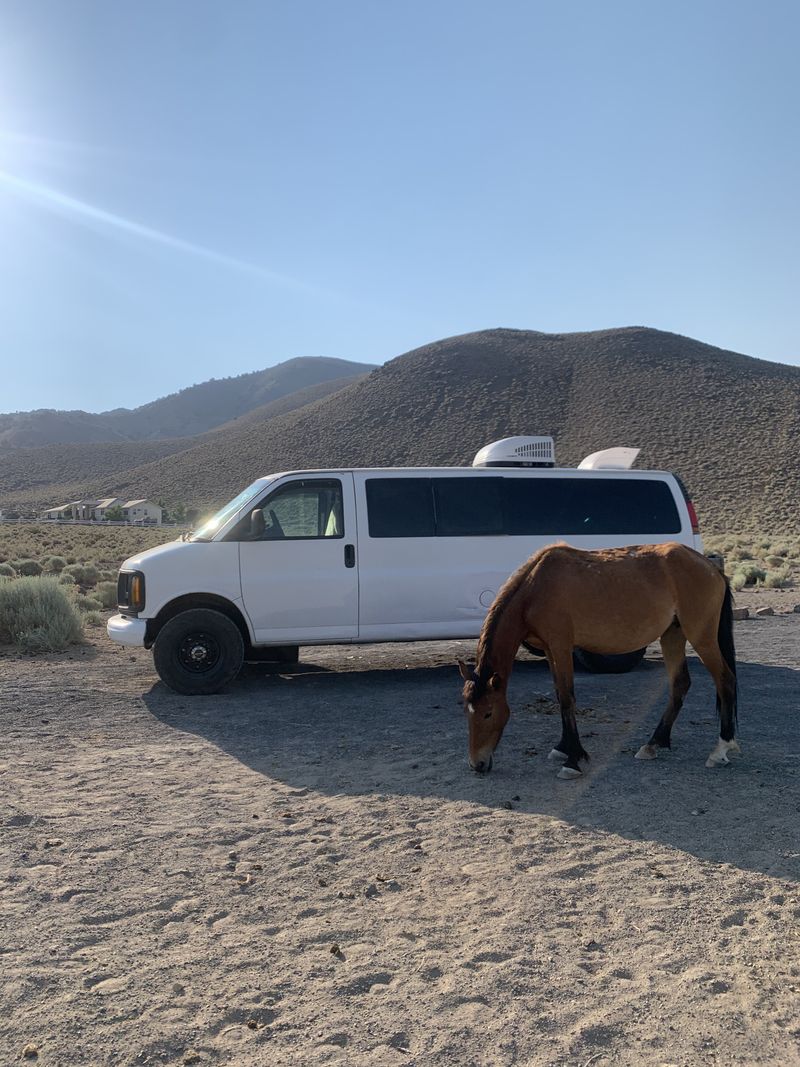 Picture 5/16 of a 1999 GMC Savana for sale in Asheville, North Carolina