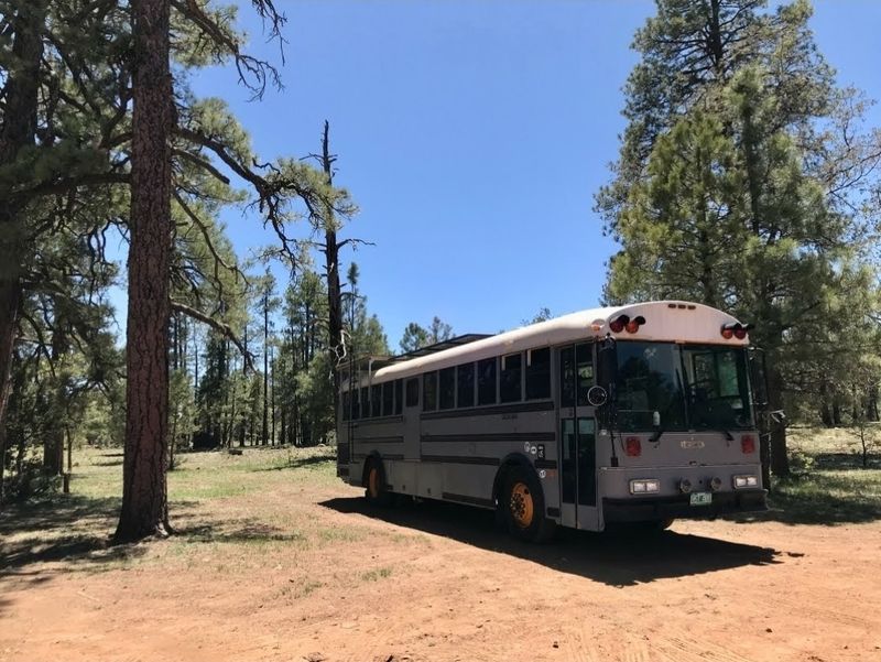 Picture 3/12 of a 1995 Thomas Full-Sized Finished Skoolie for sale in Phoenix, Arizona