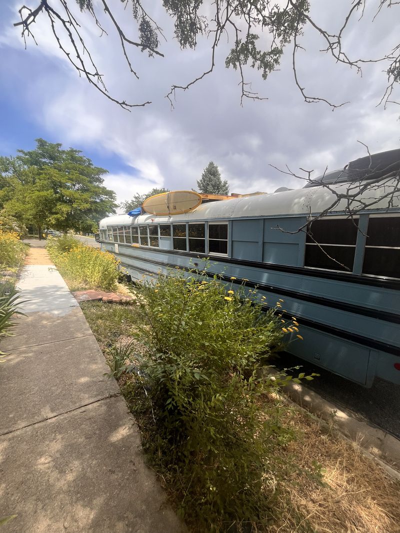 Picture 4/26 of a 1998 International Skoolie for sale in Durango, Colorado