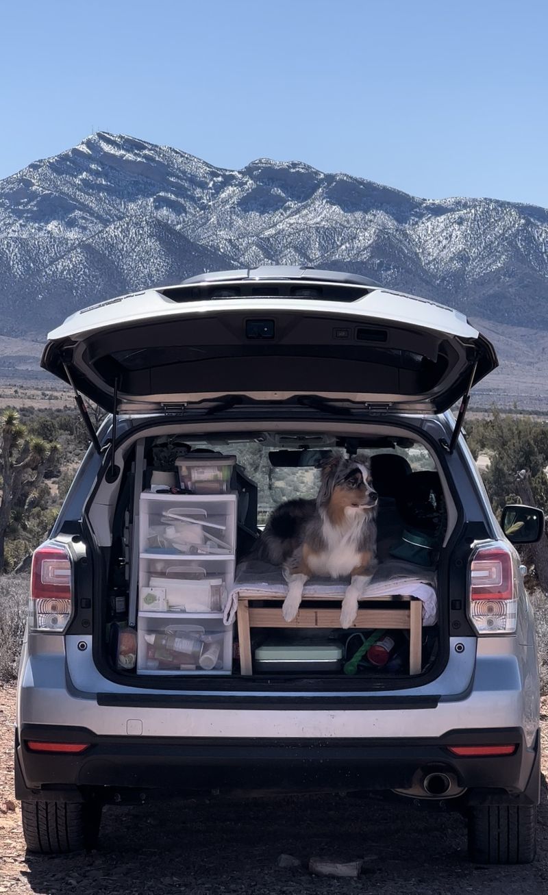 Picture 3/5 of a Subaru Forester Camper  for sale in Boise, Idaho