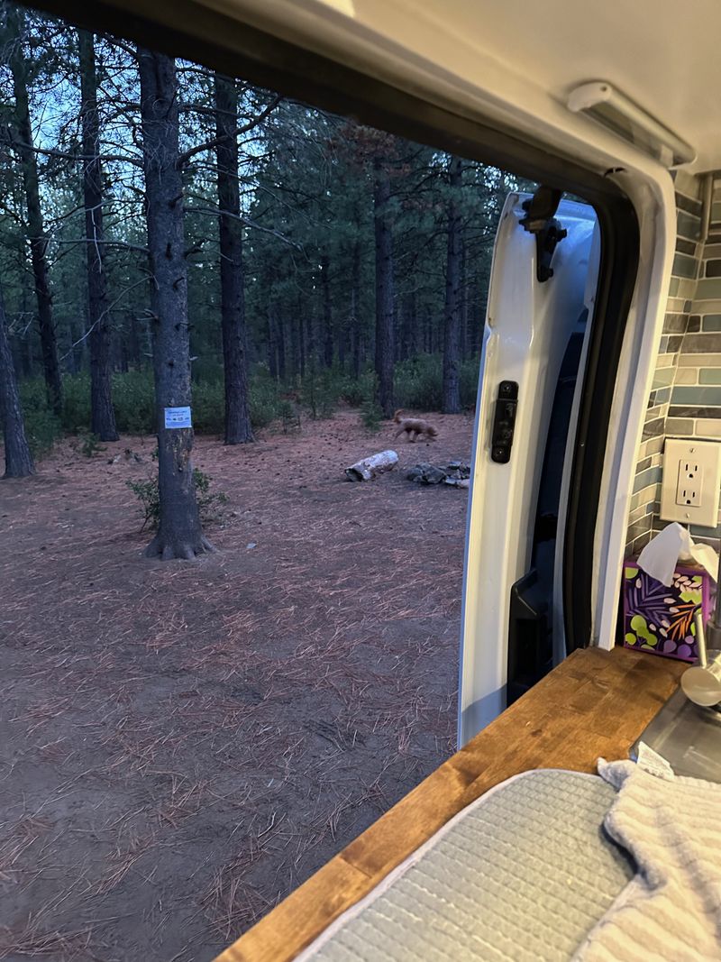 Picture 2/20 of a 2019 Ford 250 XLT Transit Van for sale in Missoula, Montana