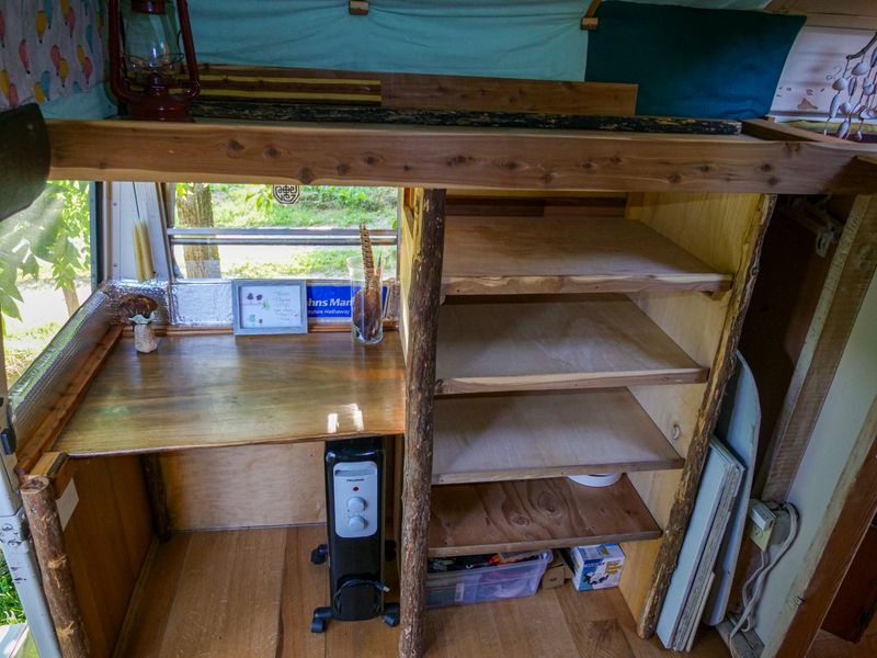Picture 5/8 of a 1998 Bluebird International T444E Converted Skoolie  for sale in Barnardsville, North Carolina