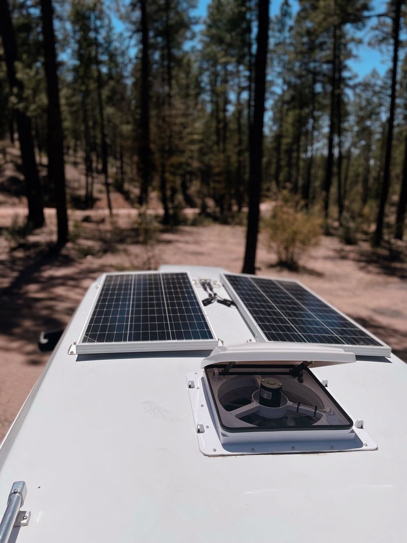 Picture 5/10 of a Rosie the Wanderer  for sale in Phoenix, Arizona