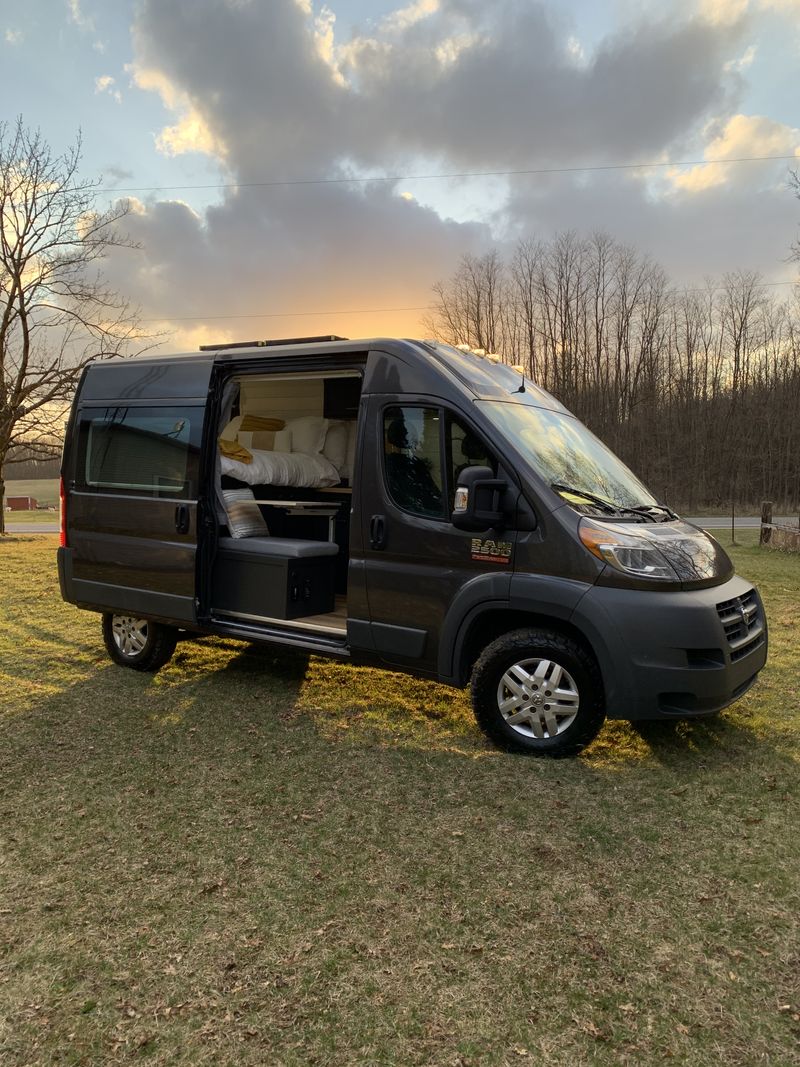 Picture 1/16 of a Theodore “Theo” Promaster For Sale for sale in East Leroy, Michigan