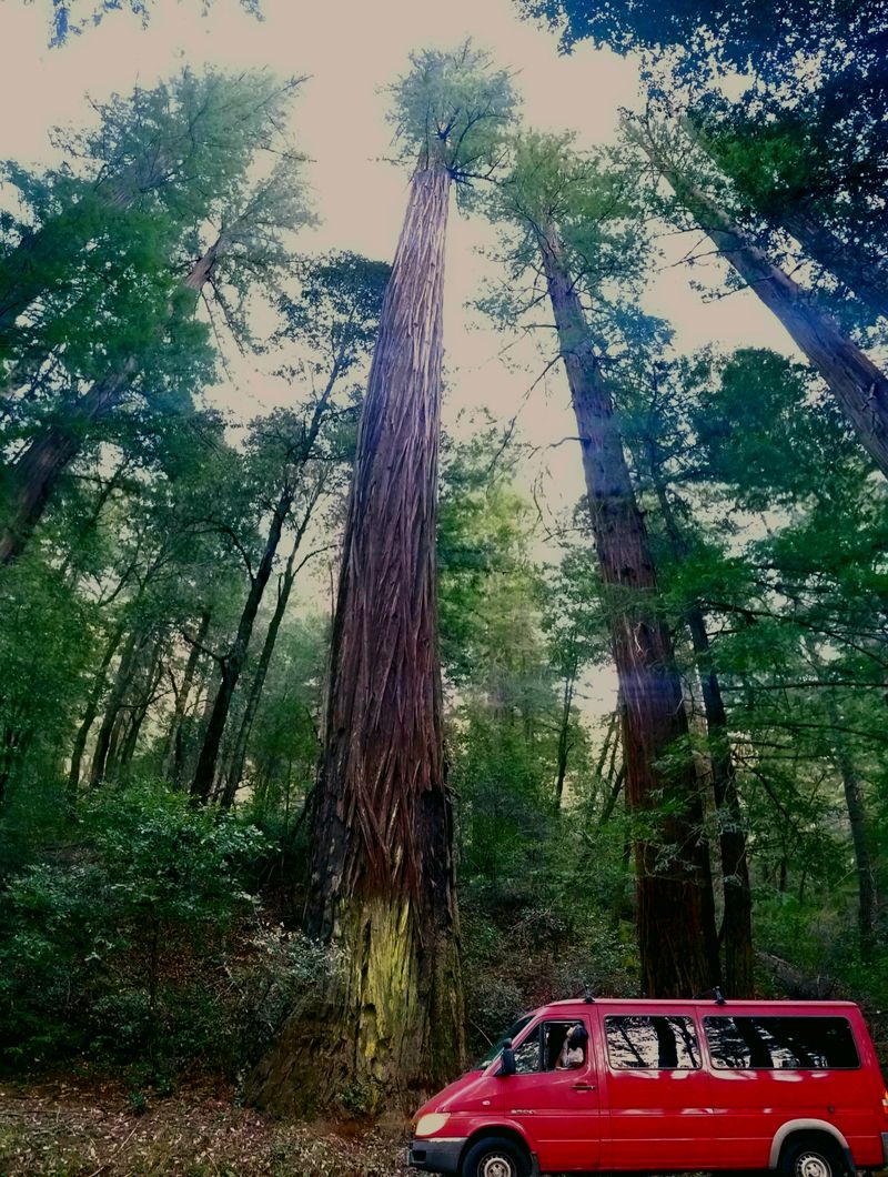 Picture 2/21 of a 2005 Dodge Sprinter  for sale in Sutter Creek, California