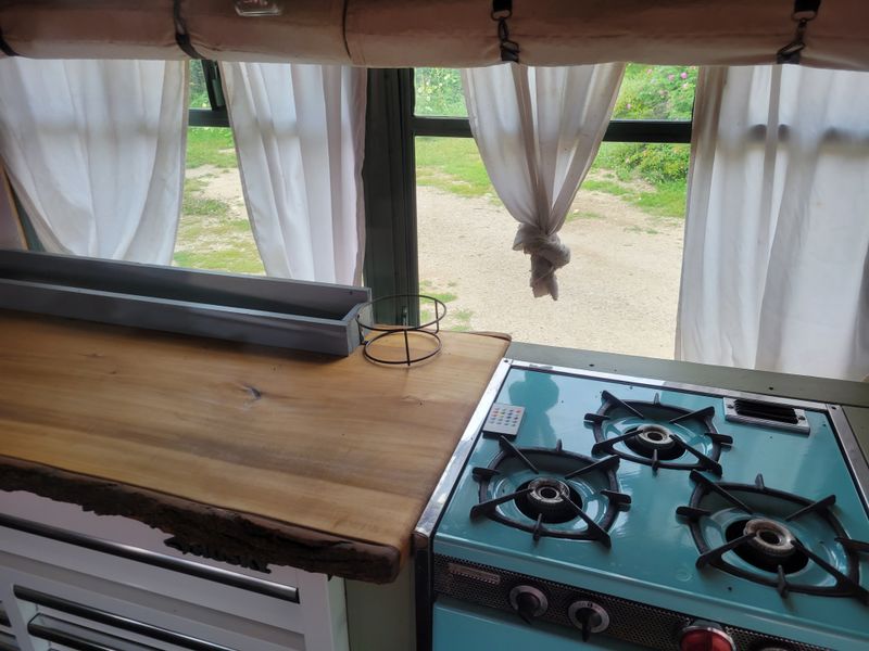 Picture 2/10 of a Fairy tail hippie diesel off grid shuttle bus  for sale in Tetonia, Idaho