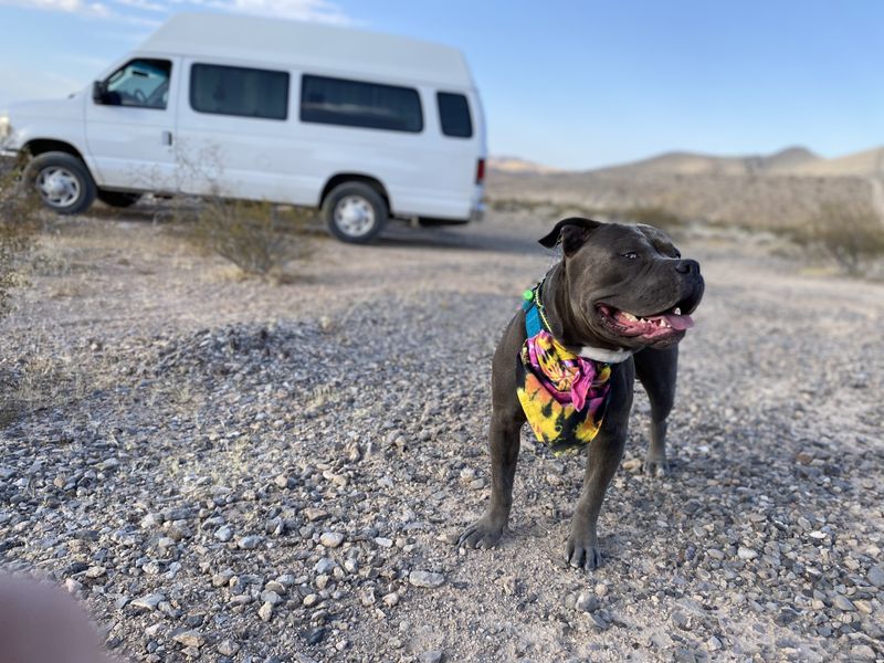 Picture 2/19 of a 2008 Ford E150 extended-hightop cargo van  for sale in Albuquerque, New Mexico