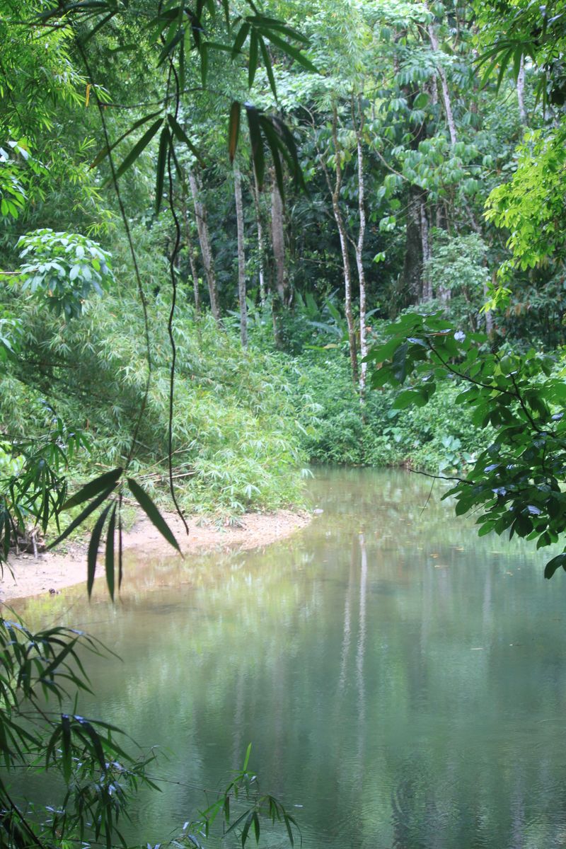 Picture 3/3 of a (SOLD) Camper Van for sale in Seattle, Washington