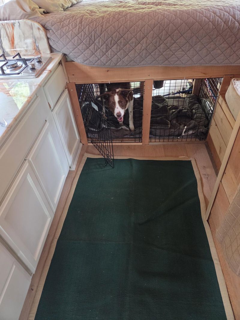 Bus Conversion Camper For Sale: 1989 Shroty Bus in Wolf Creek, Oregon