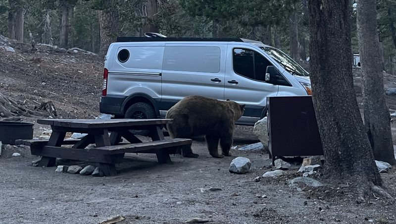 Picture 2/19 of a 2020 Ford Transit 150 AWD – Low Roof Custom Build for sale in Tucson, Arizona