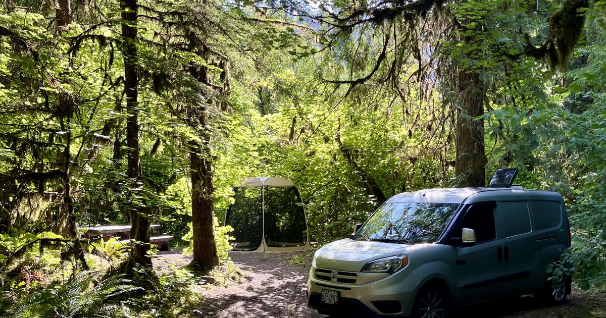Camper Van For Sale: 2015 Dodge Ram Promaster City/Camper Conversion/D