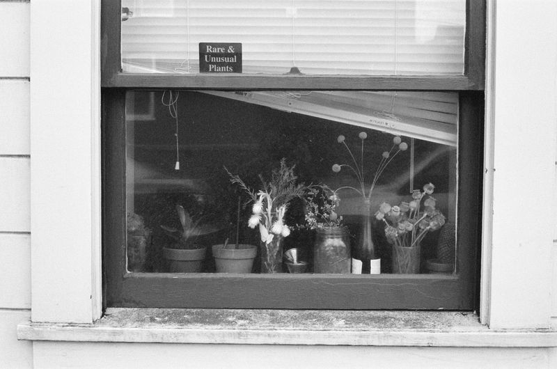 Picture 2/3 of a Ram Promaster 2500 for sale in Saint George Island, Alaska