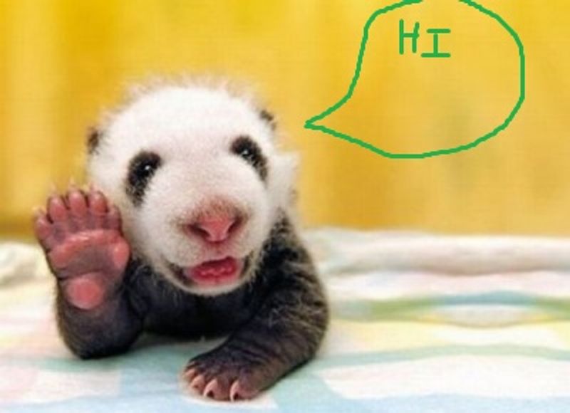 Picture 5/17 of a CA Feature Test for sale in Menlo Park, California