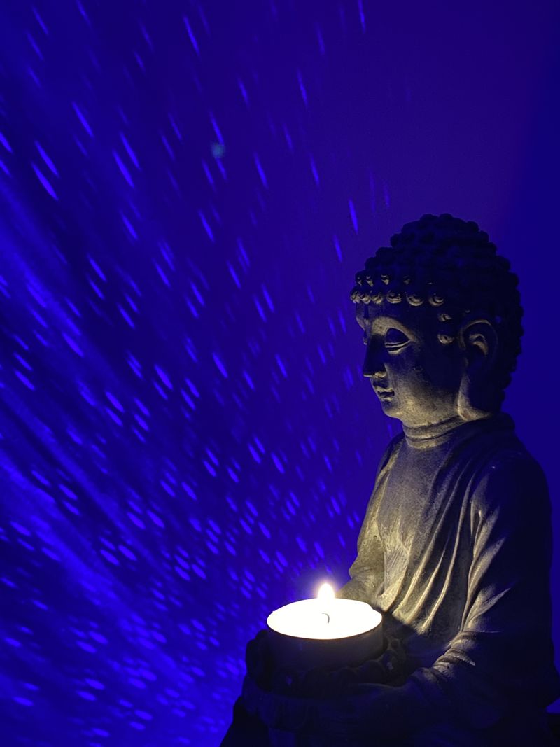 Picture 3/3 of a The calming van for sale in Santa Cruz, California