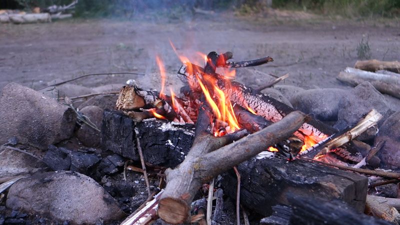 Picture 1/3 of a The fire van for sale in Saint Paul Island, Alaska