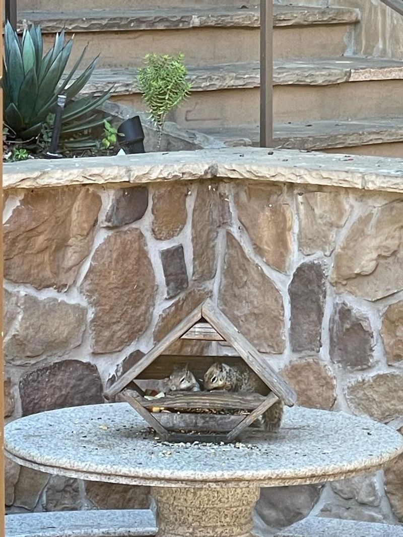 Picture 4/6 of a Rudy van for sale in Menlo Park, California