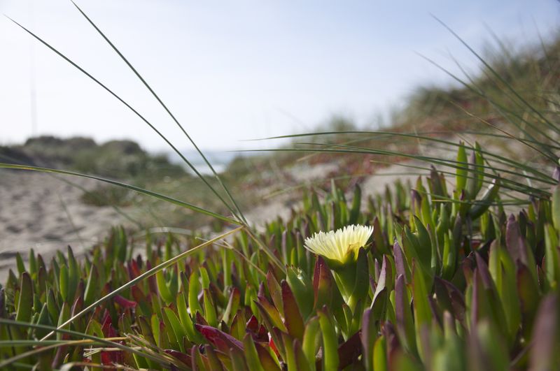 Picture 3/5 of a Nature van for sale in Saint George Island, Alaska