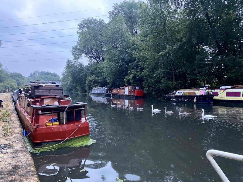 Picture 3/6 of a Rudy van for sale in Menlo Park, California