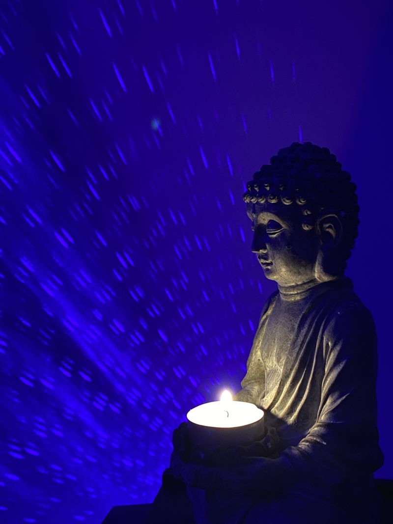 Picture 1/3 of a The calming van for sale in Santa Cruz, California