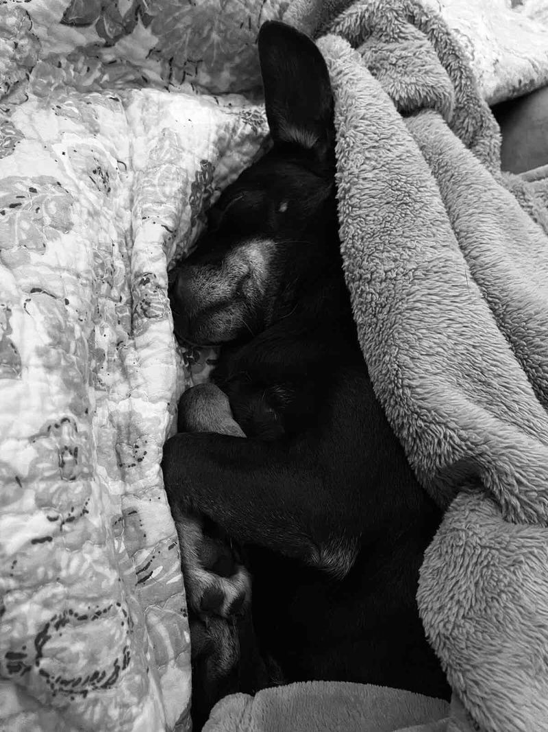 Picture 1/5 of a Nature van for sale in Saint George Island, Alaska